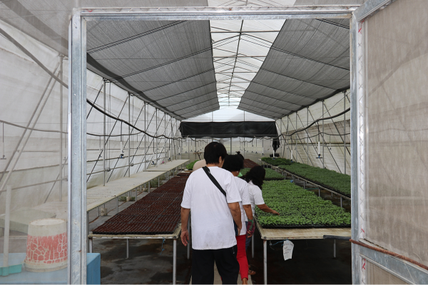 The entrance to the Batitang Agriculture Cooperative greenhouse.