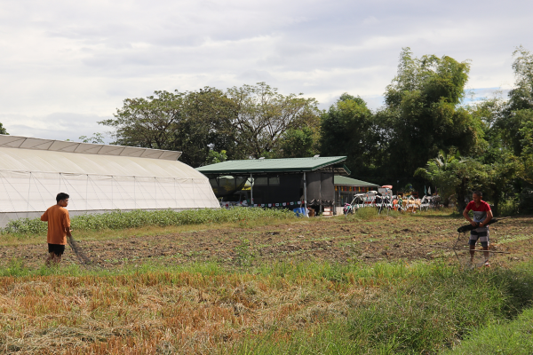 A wide shot of the Batitang Agriculture Cooperative's building and surrounding farmland.