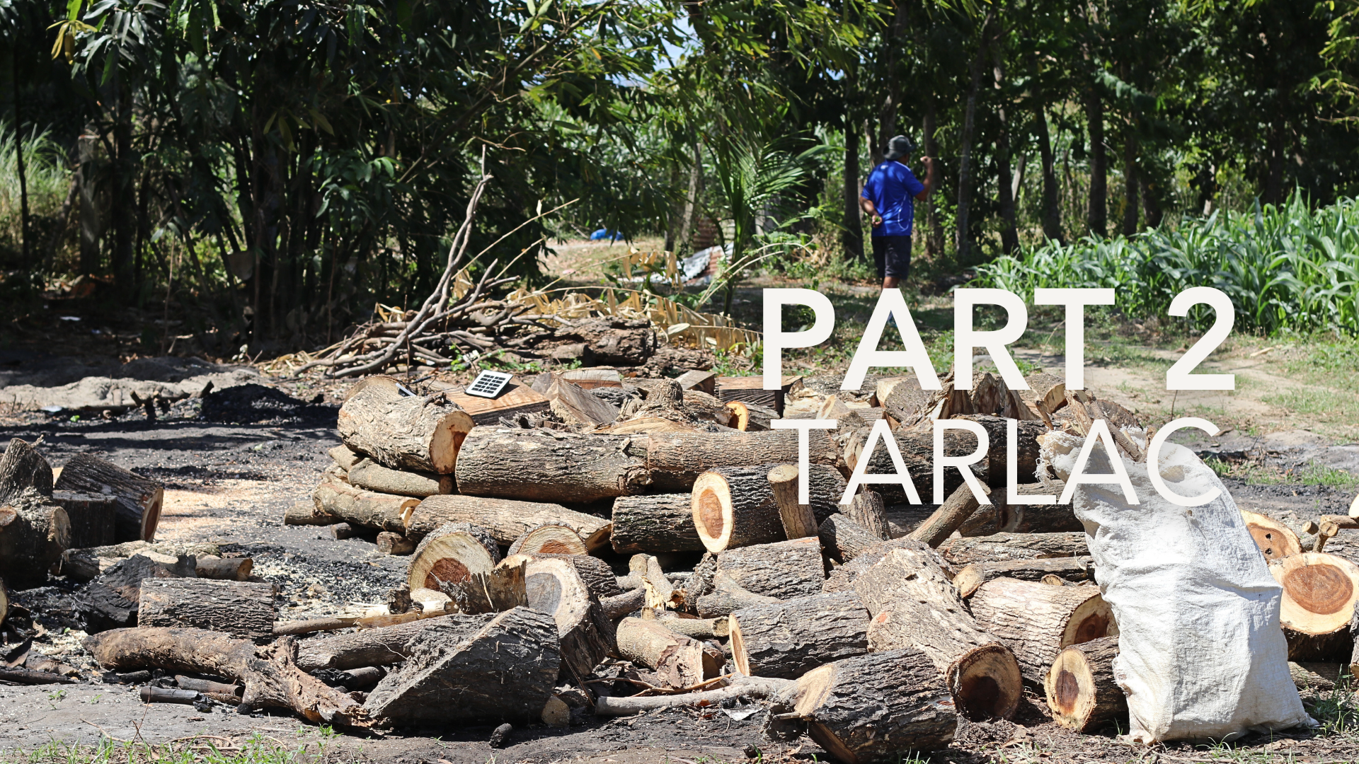 TARLAC